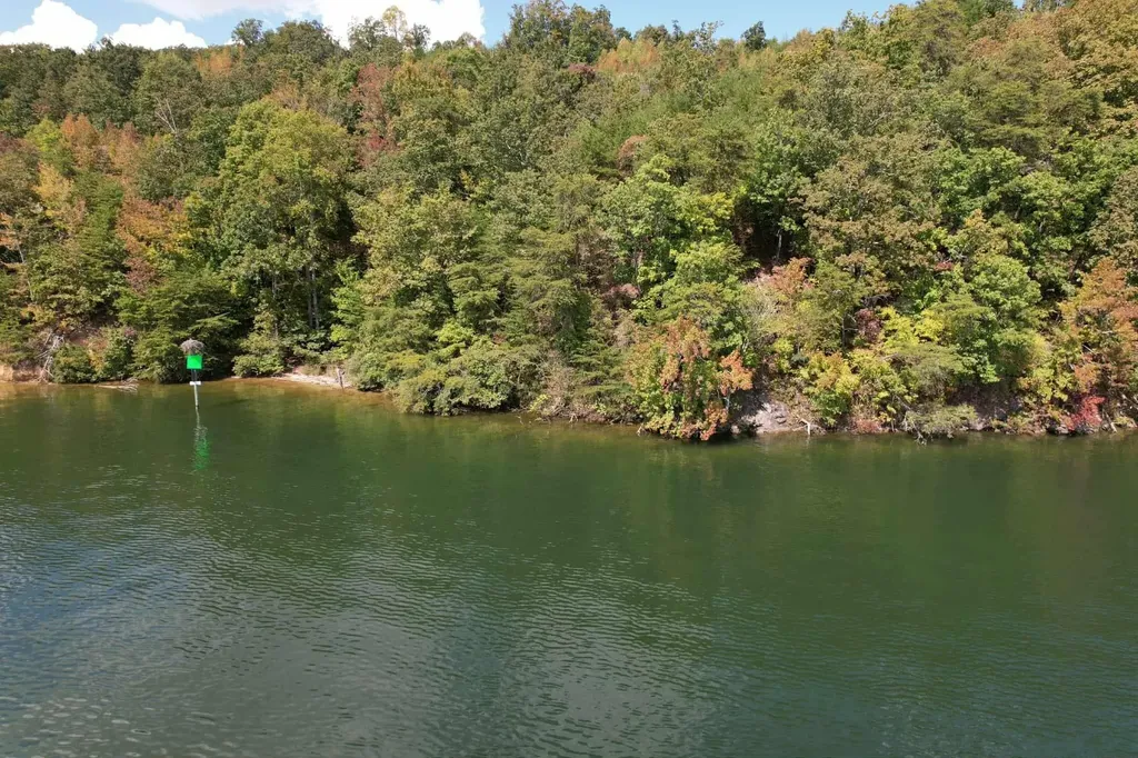 39 Waterside Way Spring City TN 37381