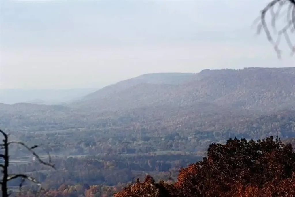 1180 Black Bear Trail Evensville TN 37332