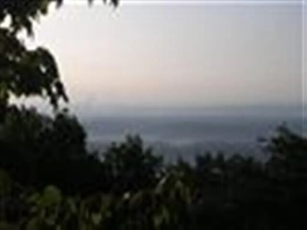 1180 Black Bear Trail Evensville TN 37332