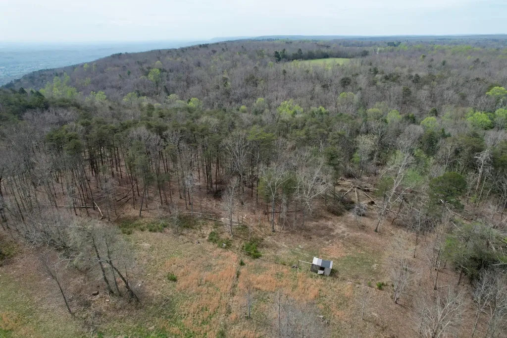 1026 Bluff View Road Dayton TN 37321