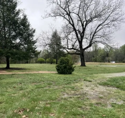 10345 Us 41 Monteagle TN 37356