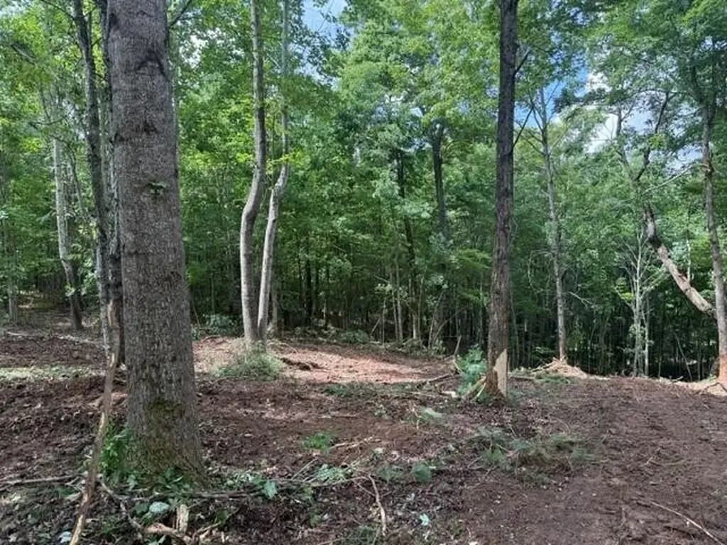 10775 S Pittsburg Mountain Road South Pittsburg TN 37380