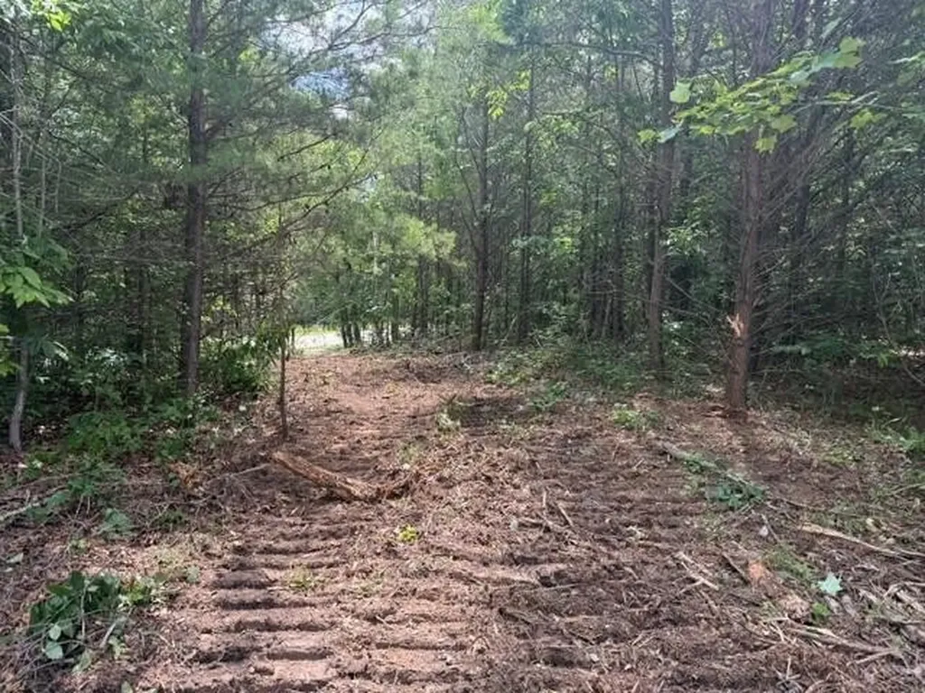 10775 S Pittsburg Mountain Road South Pittsburg TN 37380