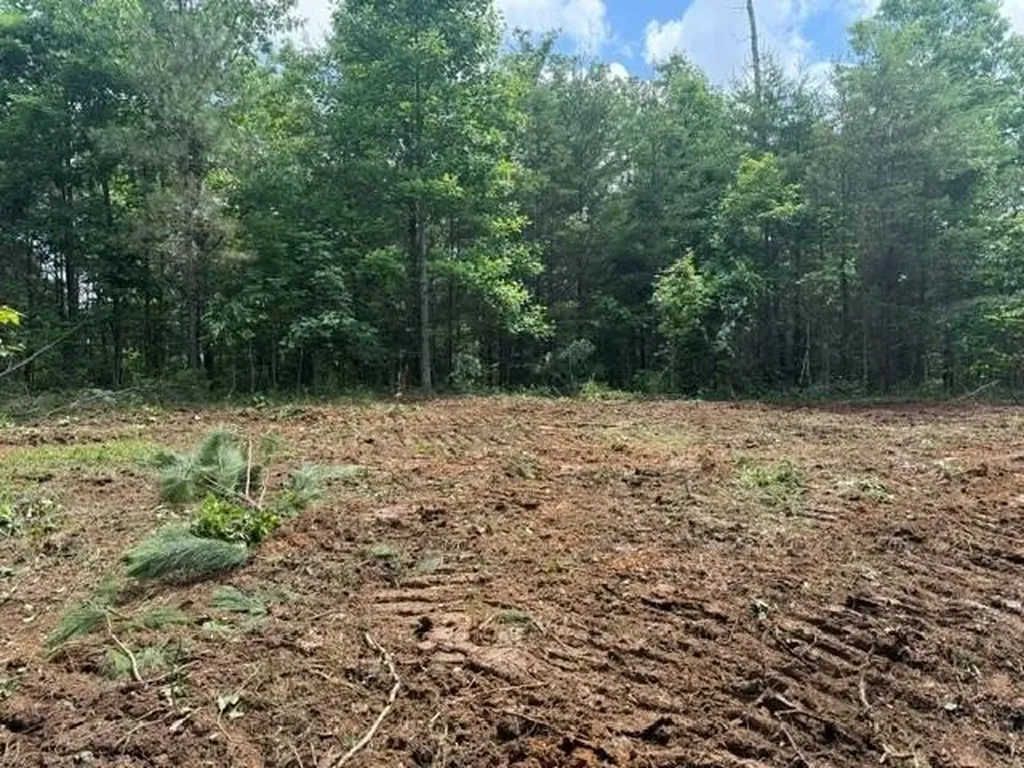 10775 S Pittsburg Mountain Road South Pittsburg TN 37380