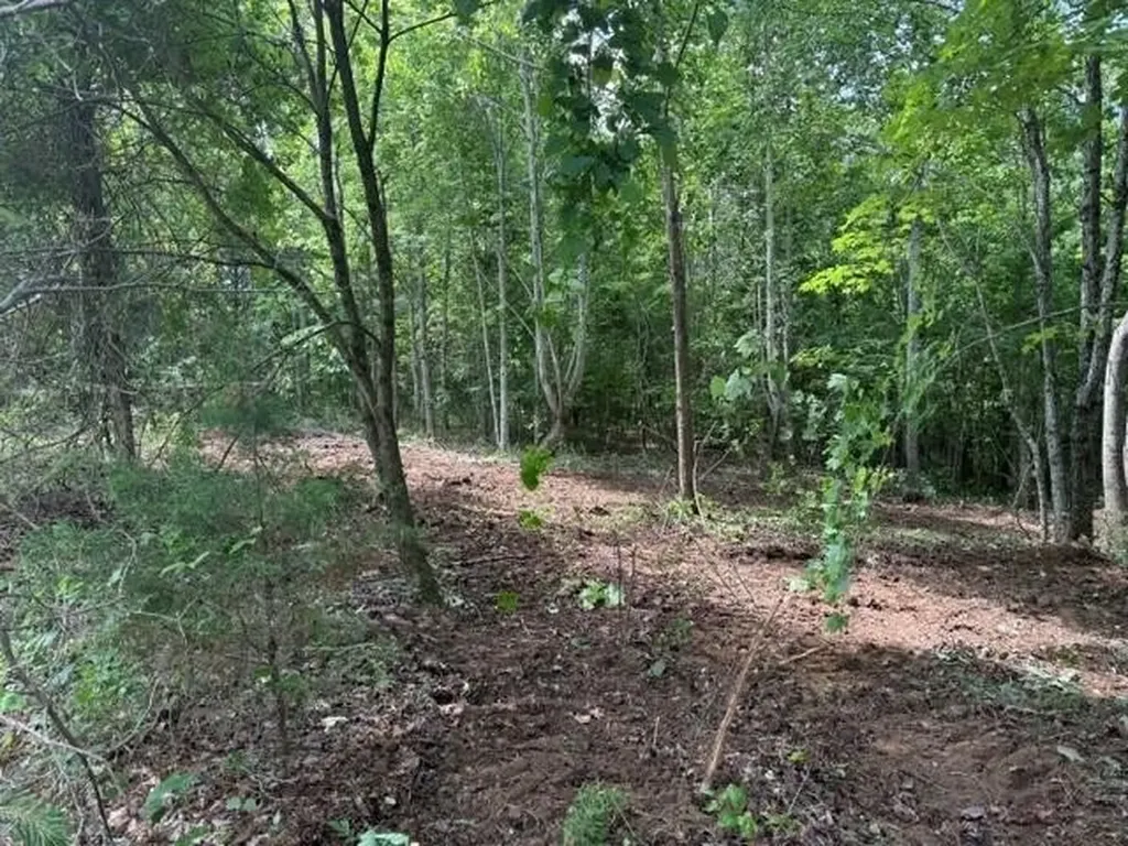 10775 S Pittsburg Mountain Road South Pittsburg TN 37380