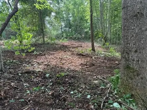 10775 S Pittsburg Mountain Road South Pittsburg TN 37380