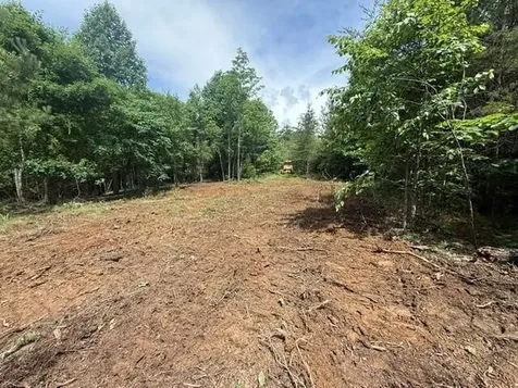 10775 S Pittsburg Mountain Road South Pittsburg TN 37380