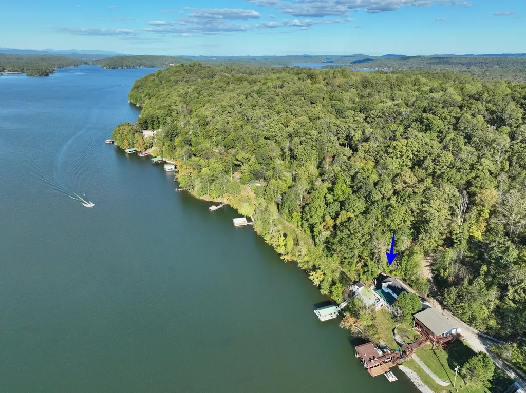 341 Clearwater Drive Spring City TN 37381