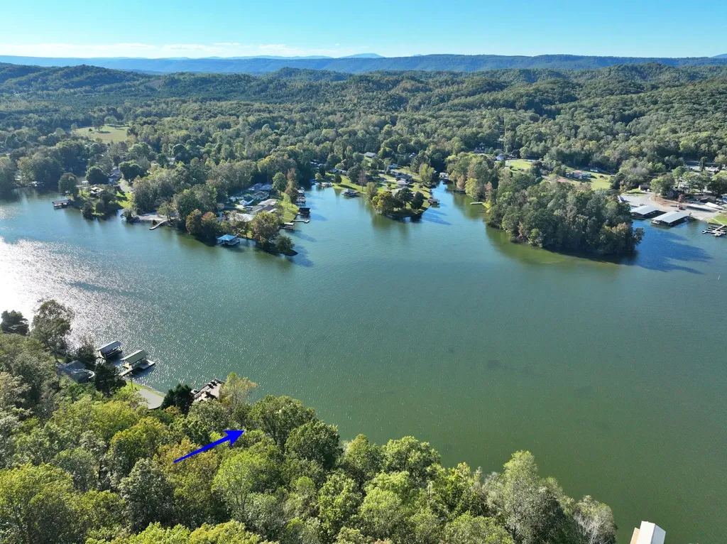 341 Clearwater Drive Spring City TN 37381