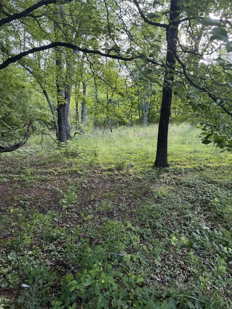 86 Hidden Hills Drive Dayton TN 37321