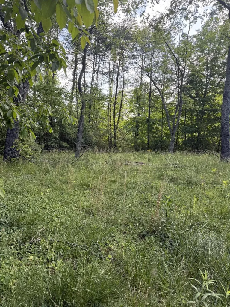 86 Hidden Hills Drive Dayton TN 37321