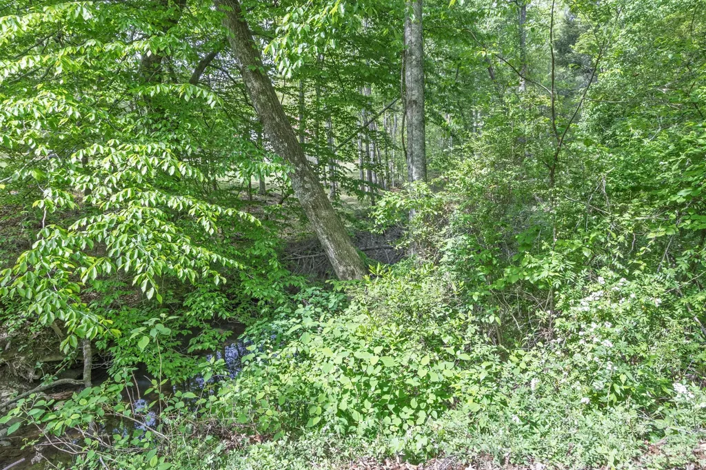 0 Summers Home Lane Dayton TN 37321