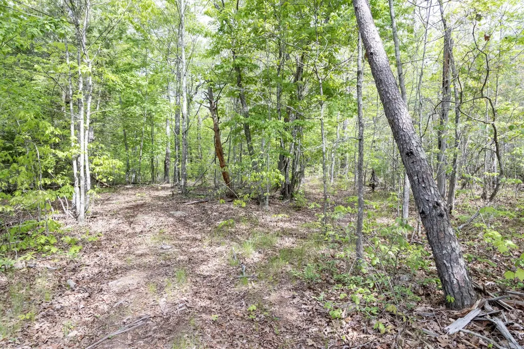 0 Summers Home Lane Dayton TN 37321
