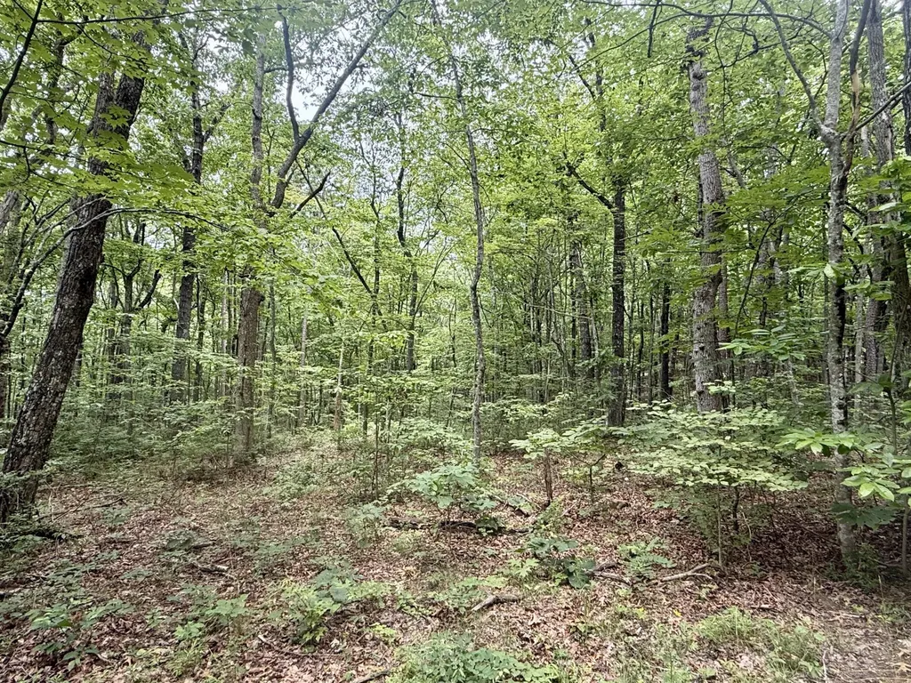1869 Windridge Drive Dunlap TN 37327