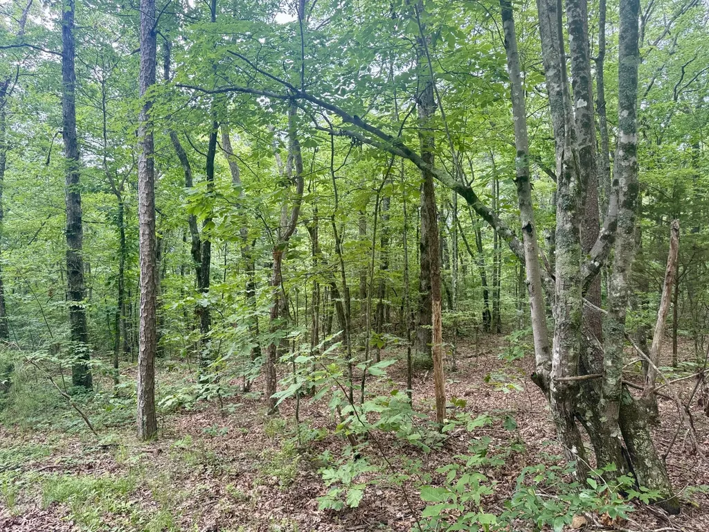 1869 Windridge Drive Dunlap TN 37327