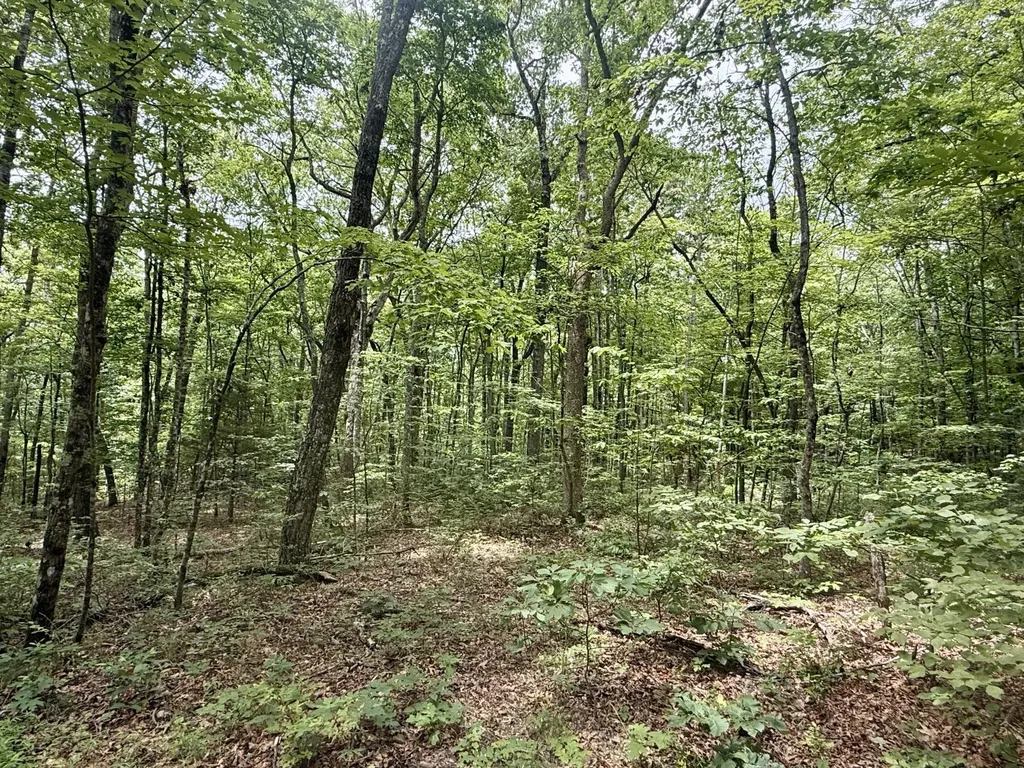 1869 Windridge Drive Dunlap TN 37327