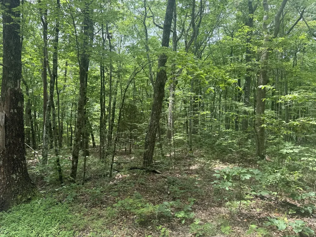 1869 Windridge Drive Dunlap TN 37327