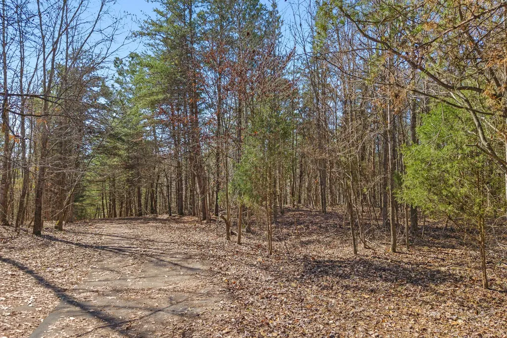 0 Ware Farms Road Spring City TN 37381