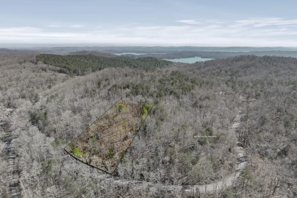 0 Ware Farms Road Spring City TN 37381