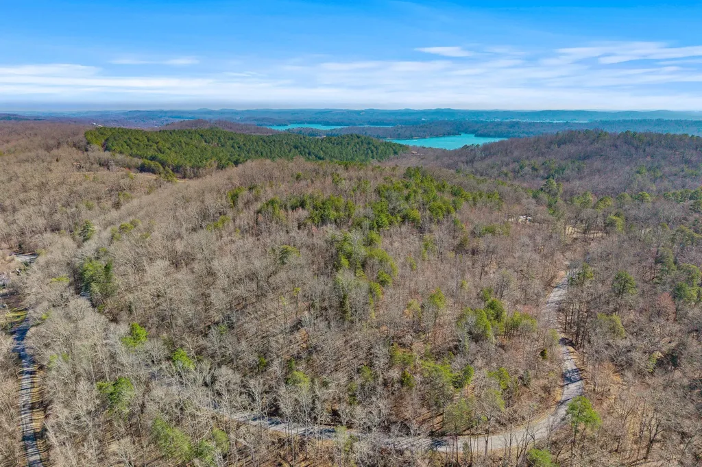 0 Ware Farms Road Spring City TN 37381