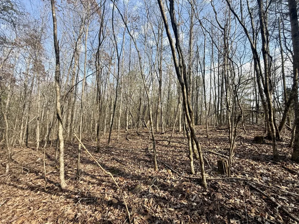 0 Ware Farms Road Spring City TN 37381