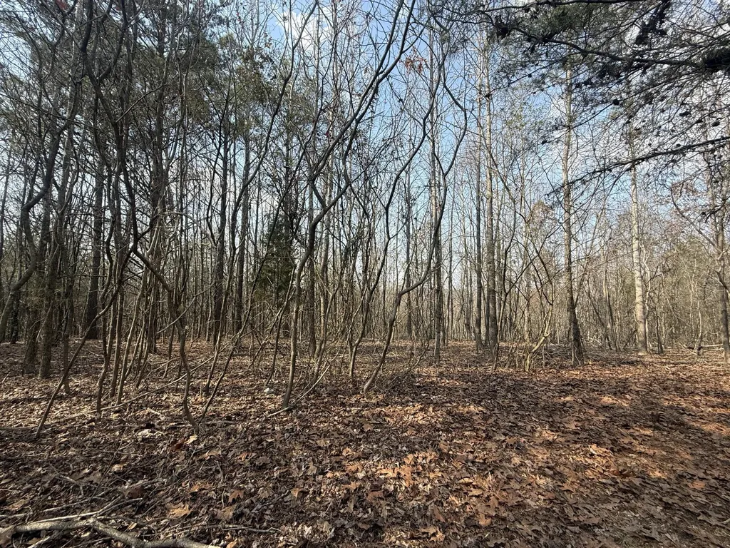 0 Ware Farms Road Spring City TN 37381