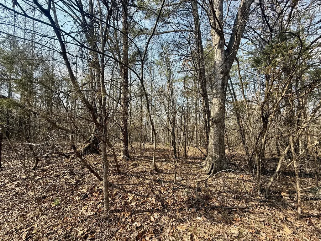 0 Ware Farms Road Spring City TN 37381