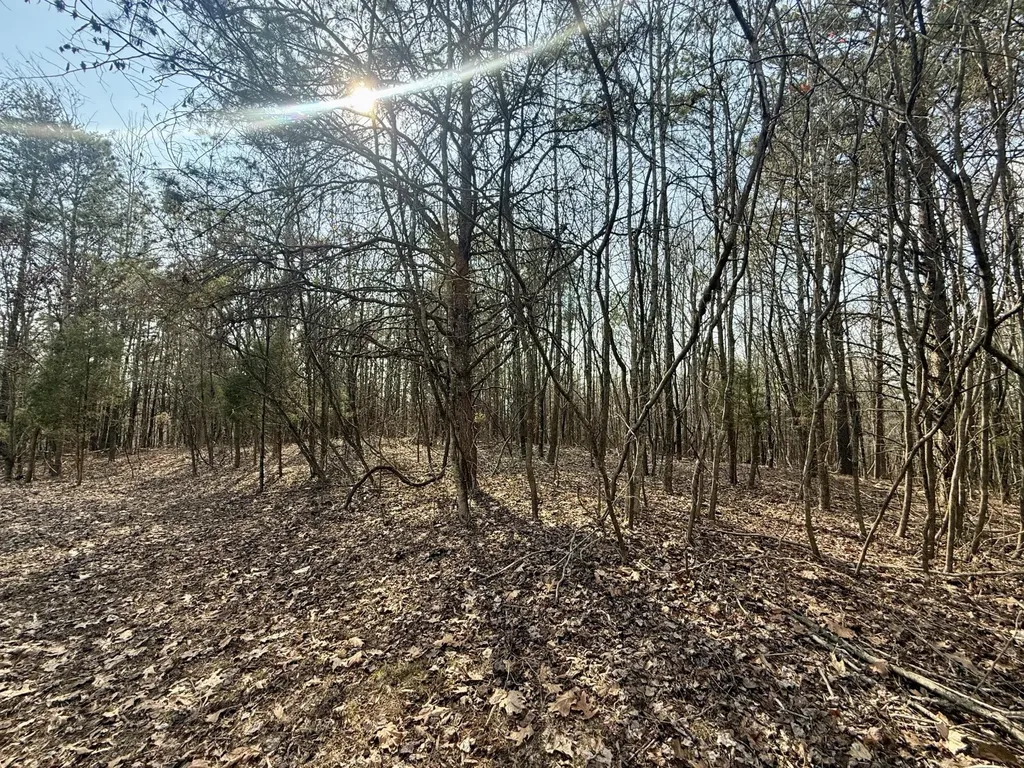 0 Ware Farms Road Spring City TN 37381