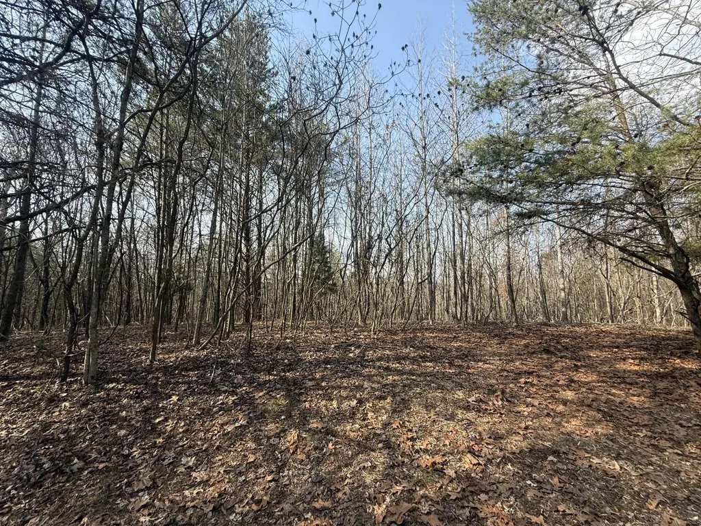 0 Ware Farms Road Spring City TN 37381