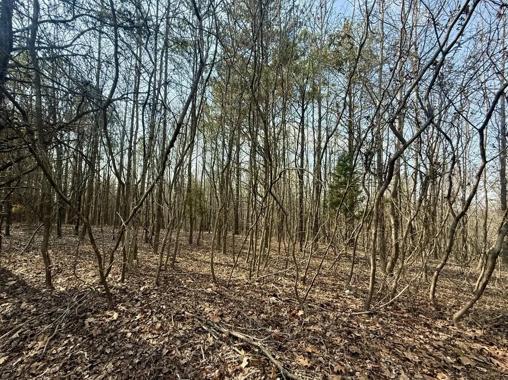 0 Ware Farms Road Spring City TN 37381