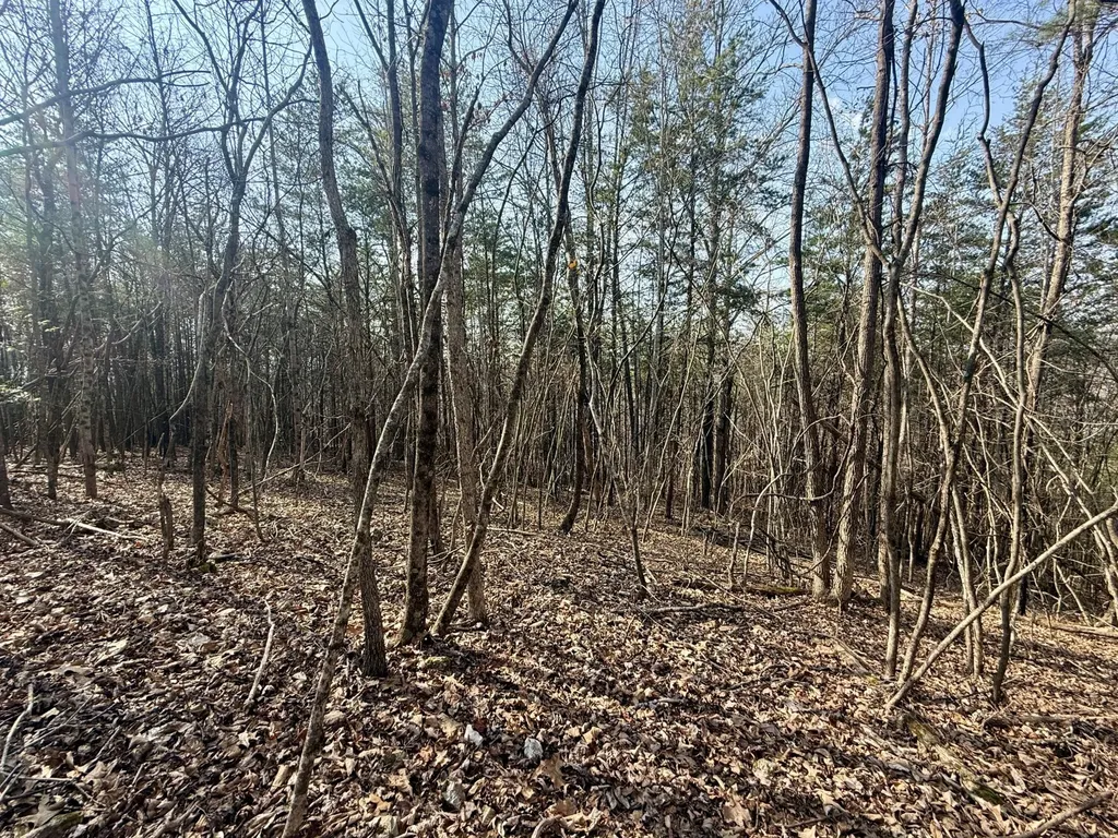 0 Ware Farms Road Spring City TN 37381