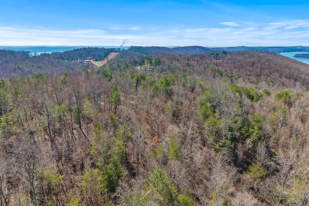 0 Ware Farms Road Spring City TN 37381