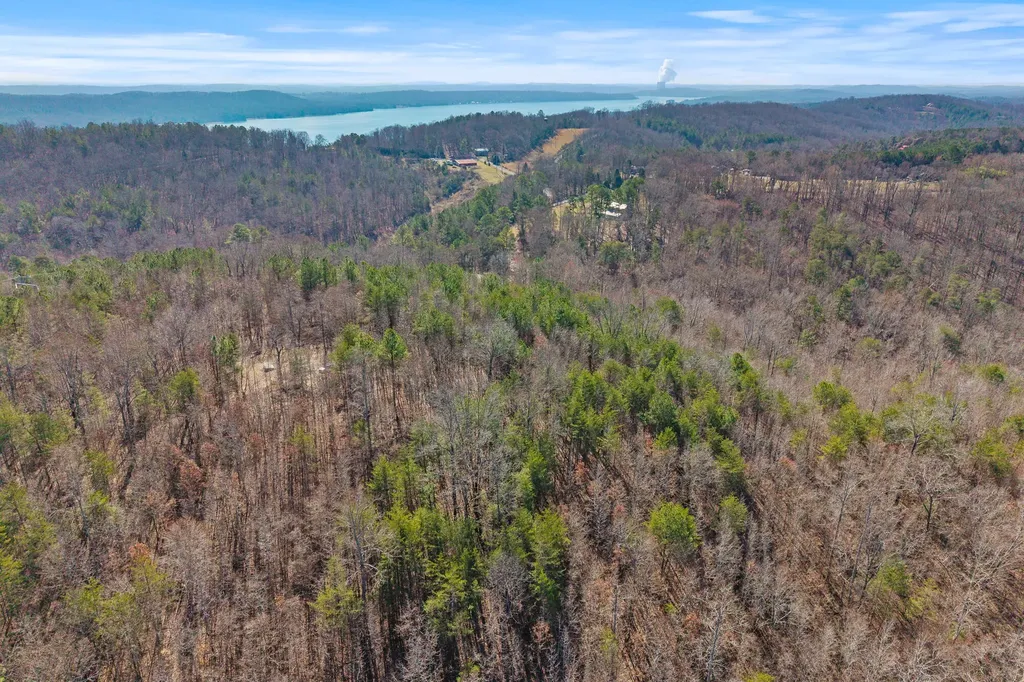 0 Ware Farms Road Spring City TN 37381