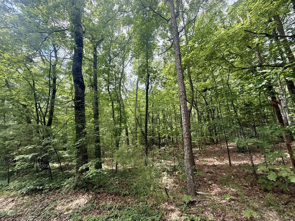 5973 Windridge Drive Dunlap TN 37327