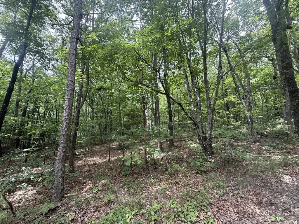 5973 Windridge Drive Dunlap TN 37327