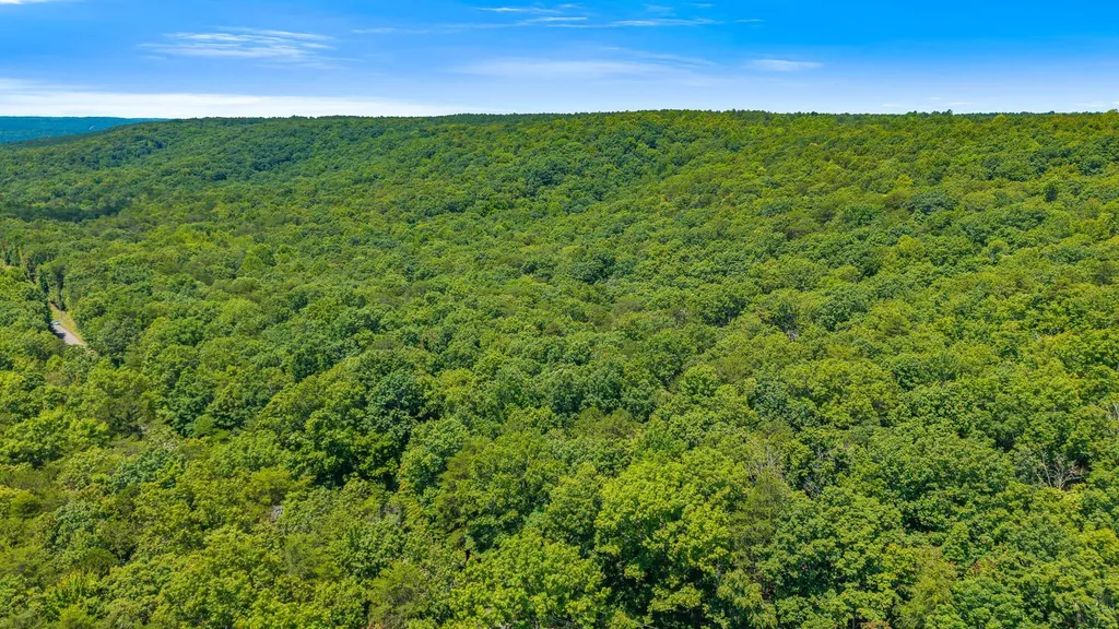 5973 Windridge Drive Dunlap TN 37327