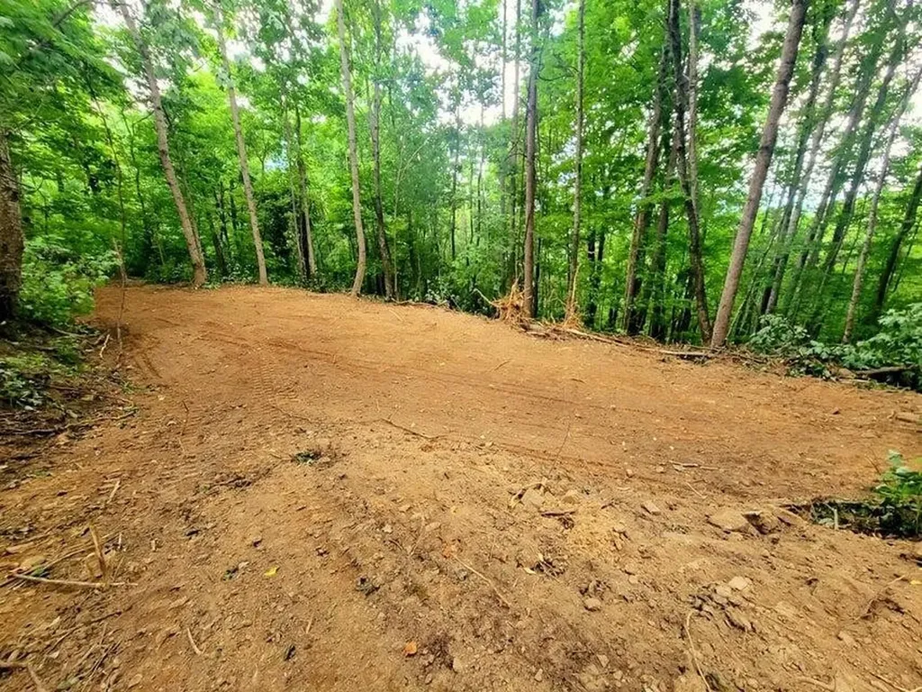 88 Dunlukin Drive Spring City TN 37381