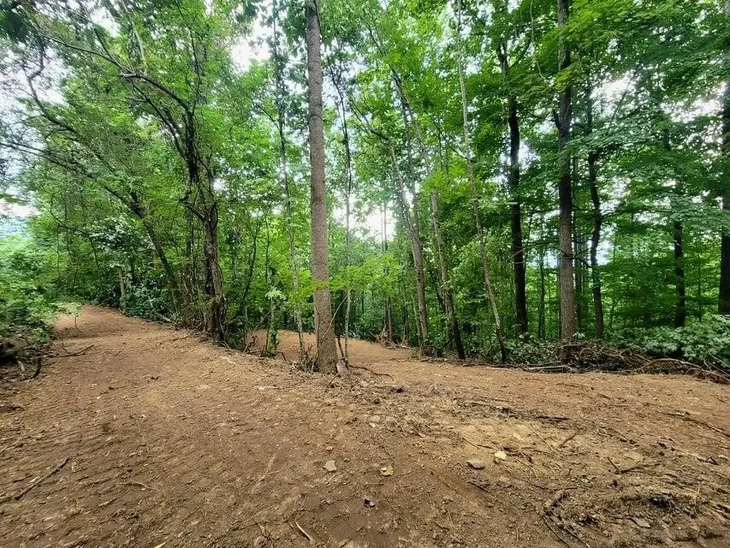 88 Dunlukin Drive Spring City TN 37381