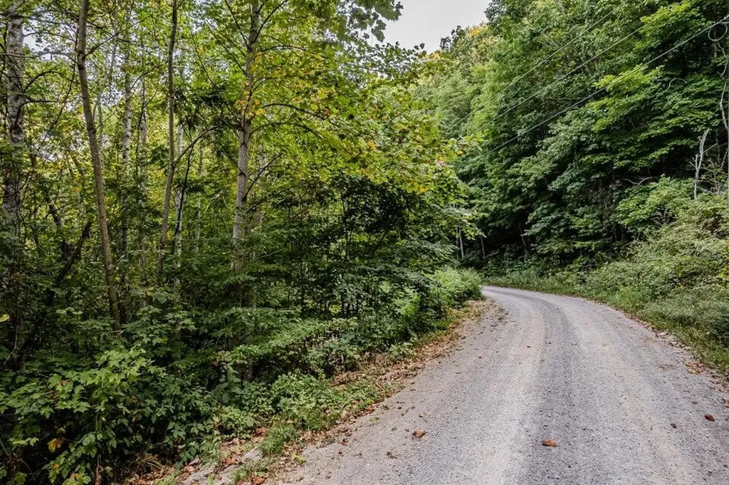 88 Dunlukin Drive Spring City TN 37381