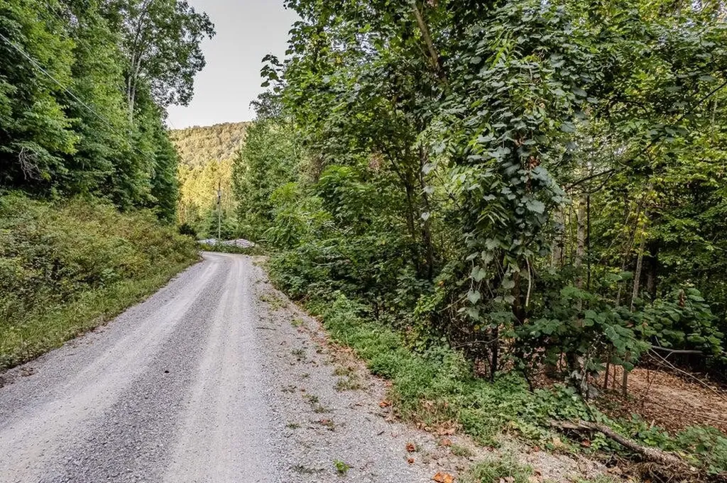 88 Dunlukin Drive Spring City TN 37381