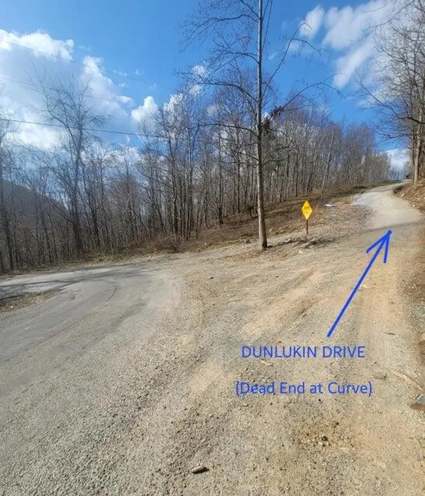 88 Dunlukin Drive Spring City TN 37381