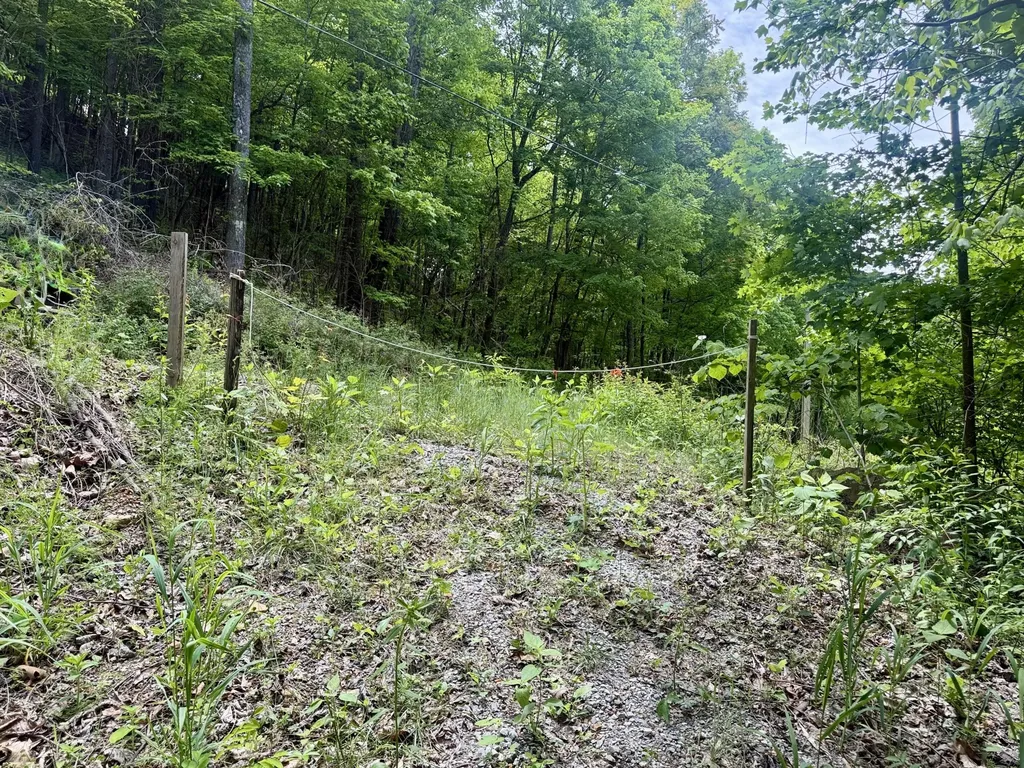 88 Dunlukin Drive Spring City TN 37381