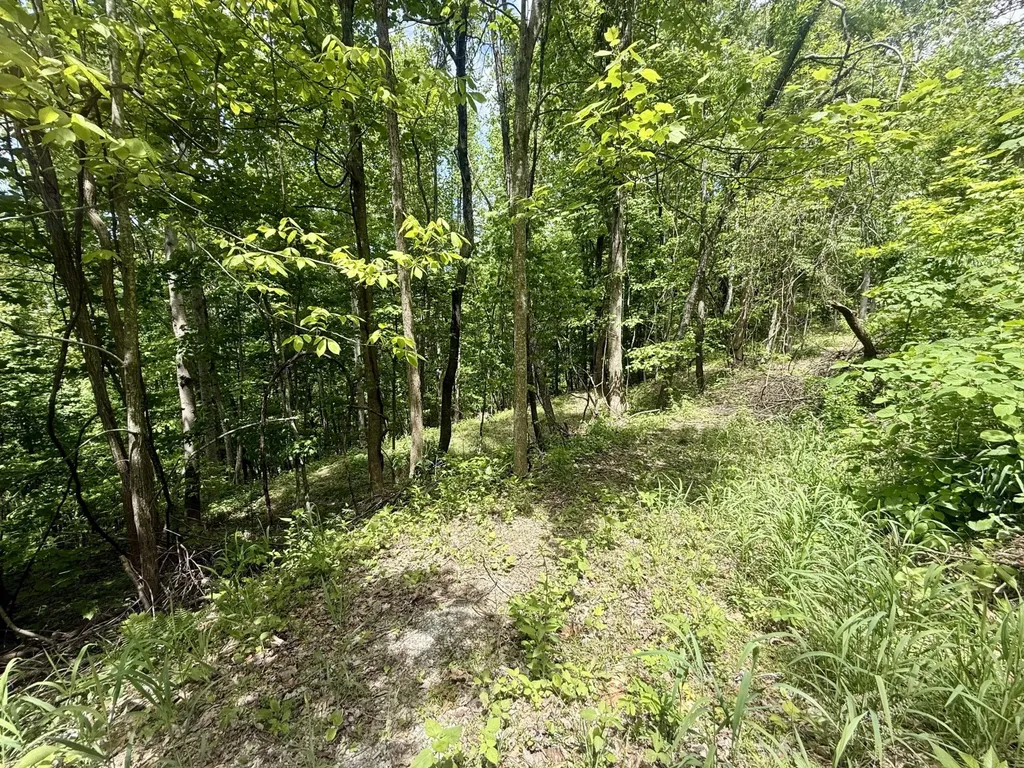 88 Dunlukin Drive Spring City TN 37381