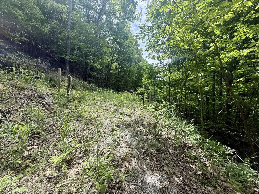 88 Dunlukin Drive Spring City TN 37381
