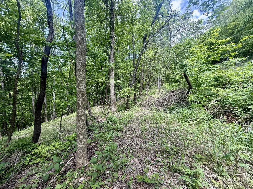 88 Dunlukin Drive Spring City TN 37381