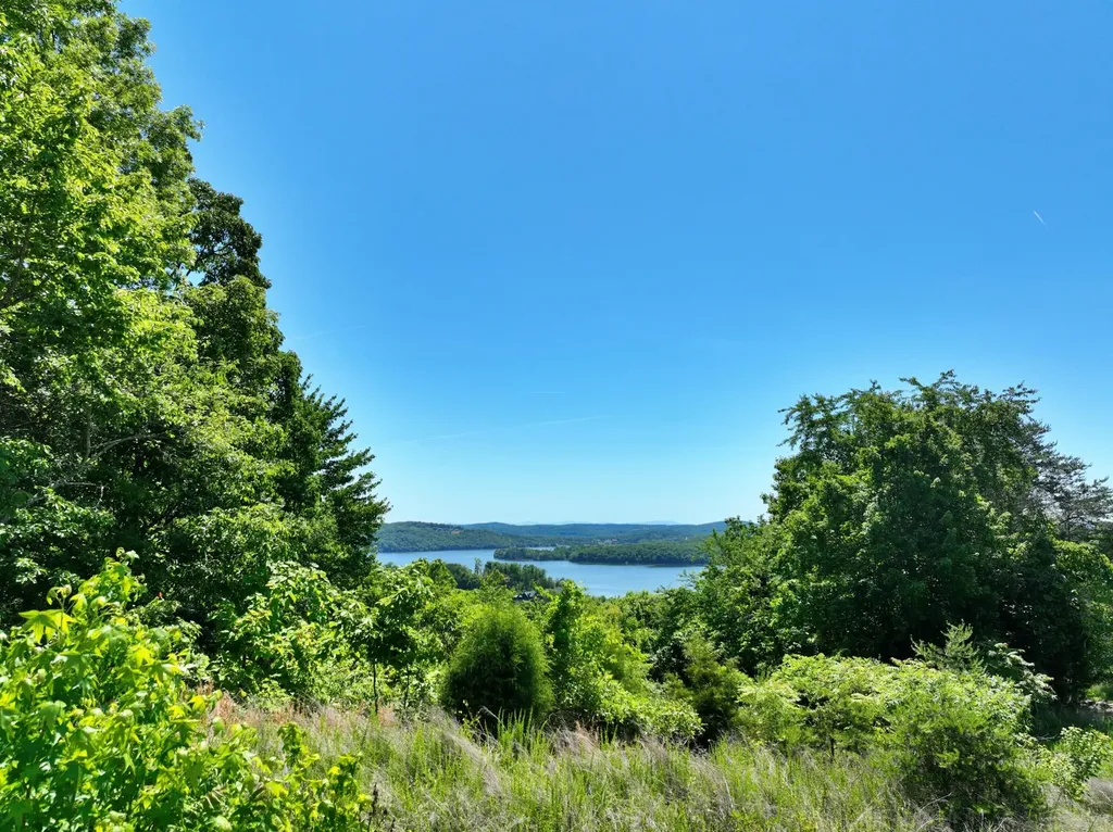 0 Flint Ridge Road Rockwood TN 37854