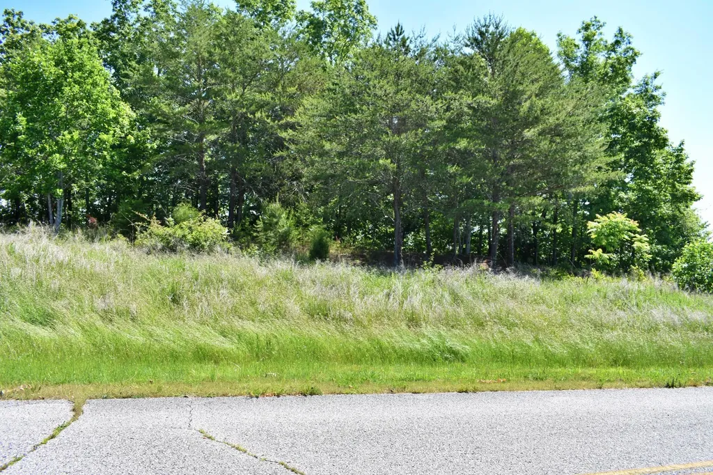 0 Flint Ridge Road Rockwood TN 37854