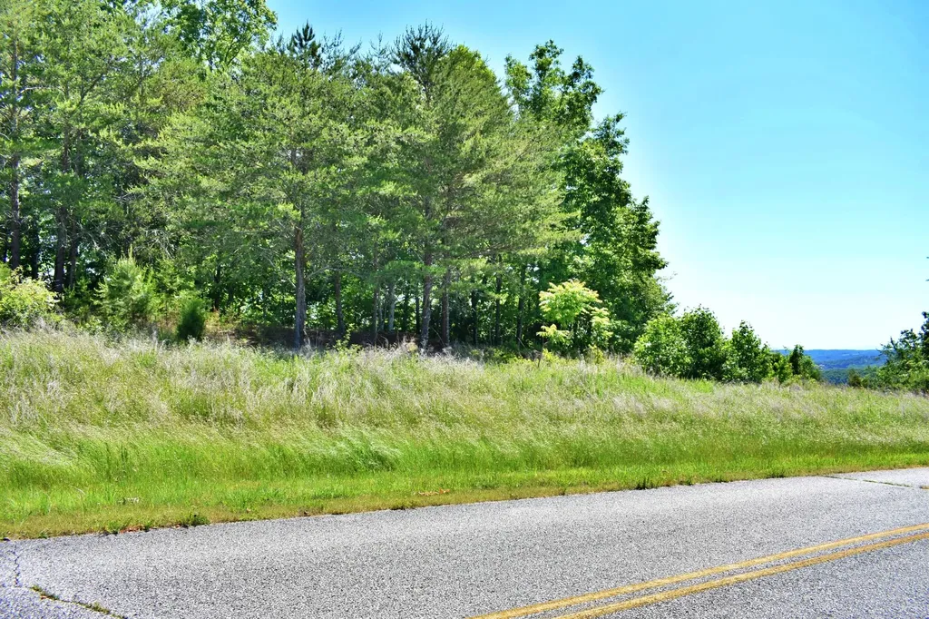 0 Flint Ridge Road Rockwood TN 37854