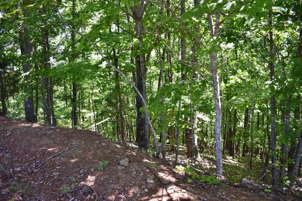 0 Flint Ridge Road Rockwood TN 37854