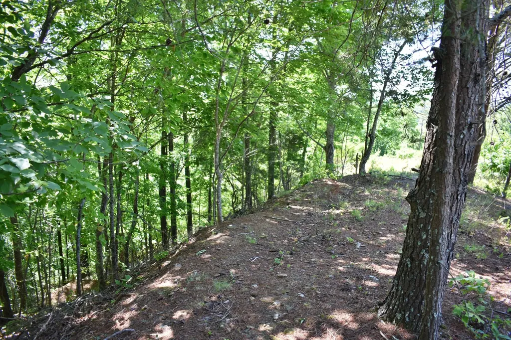 0 Flint Ridge Road Rockwood TN 37854